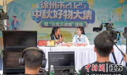 91年村支书直播间,揭秘农村发展新篇章